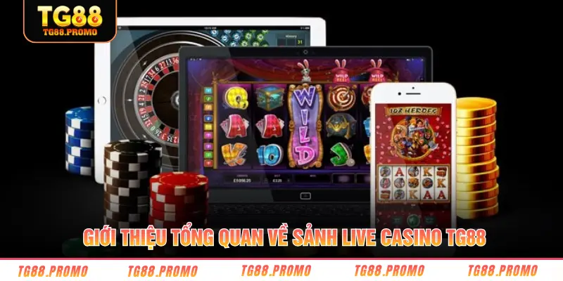 Giới thiệu tổng quan về sảnh live casino TG88